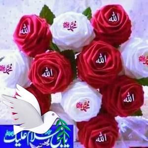 Meet your Posher, Abdul qadeer